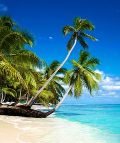 10 - Punta Cana_3